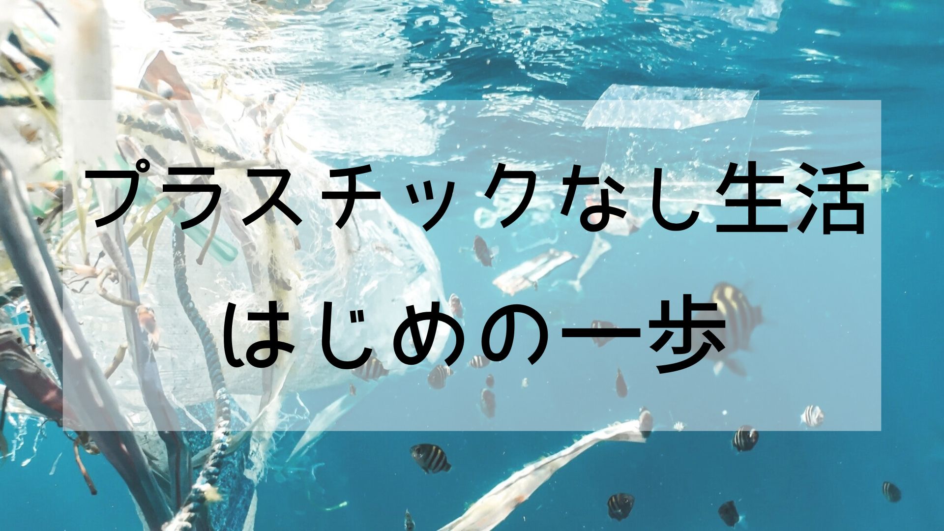 【プラスチックなし生活の始め方】我慢はしない小さな小さな第一歩