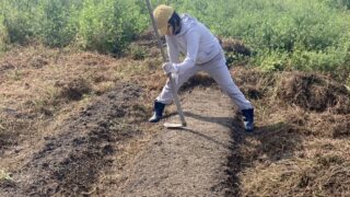 【お米作り②】畑苗代の作り方と、その後の稲の成長＆草取り記録