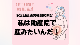 私は助産院で産みたい！産みたいんだ！産ませてくれ！